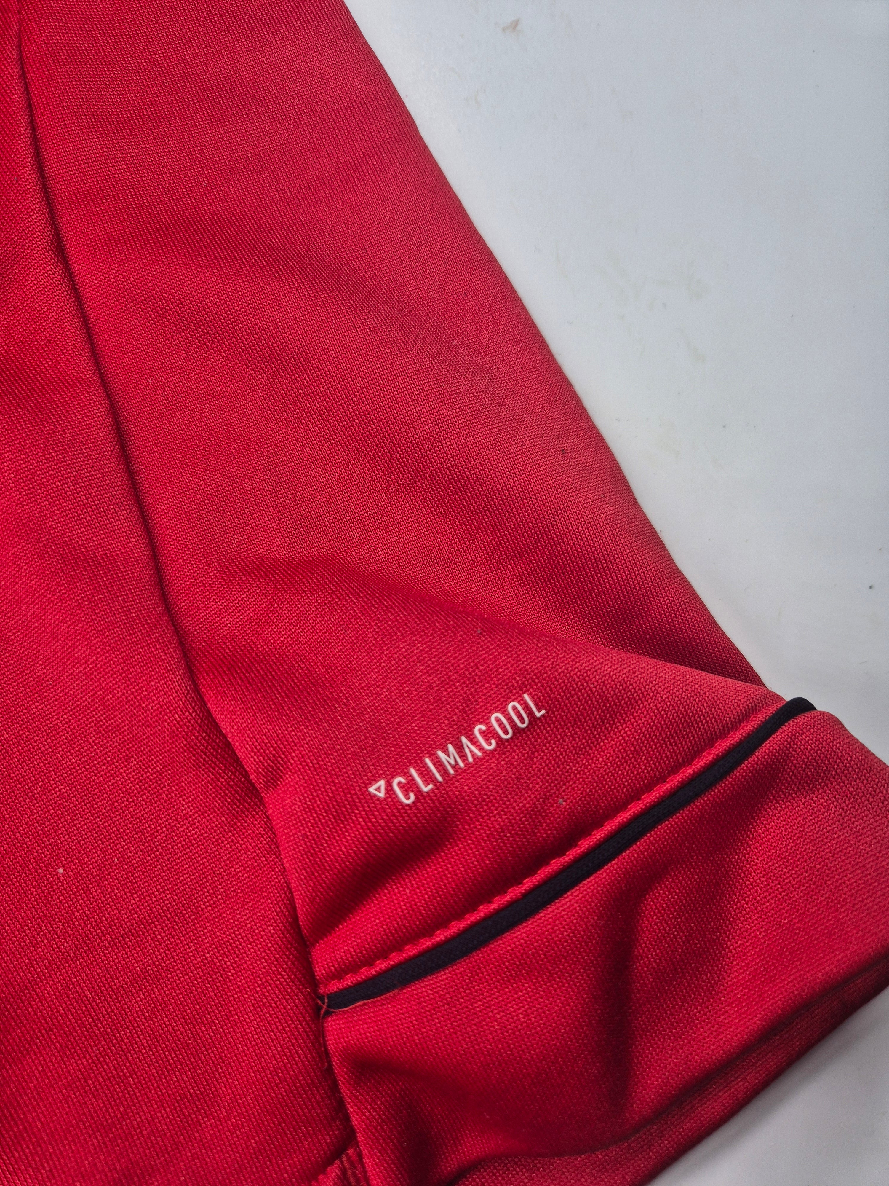 Adidas FC Bayern Training Top Red (S)
